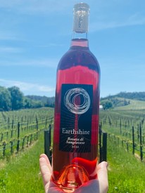 2023 Earthshine Rosato